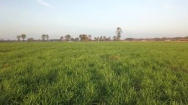 Hava sineması klibi, hava aracı gün batımında bir çiftlik arazisinde uçuyor.