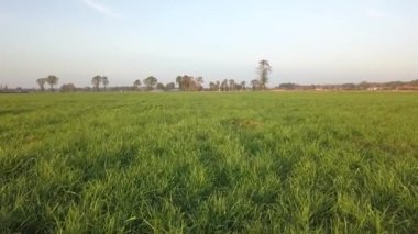 Hava sineması klibi, hava aracı gün batımında bir çiftlik arazisinde uçuyor.