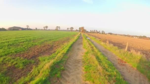 POV tarlalar arasındaki kaba, kırsal ve kapalı yolda ilerliyor — Stok video