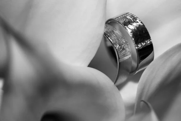 Close view on calla flowers with wedding rings in monochrome colors — Stock Photo, Image