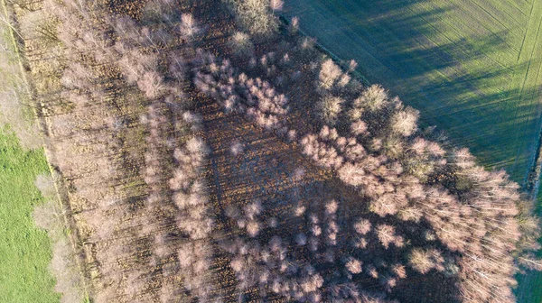 Vista aérea em uma estrada rural e formas em campos agrícolas coloridos no campo. Topo para baixo Drone View. — Fotografia de Stock