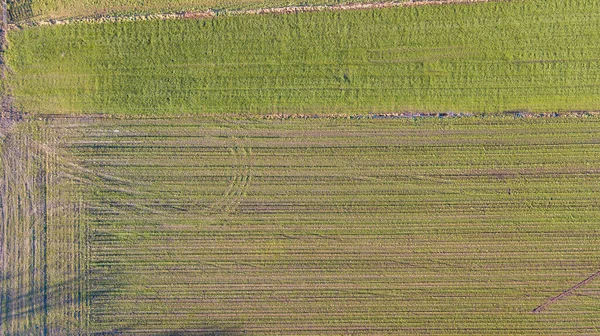 Ariale Ansicht geometrische Formen im Boden landwirtschaftlicher Felder, aufgenommen von oben mit Drohne — Stockfoto