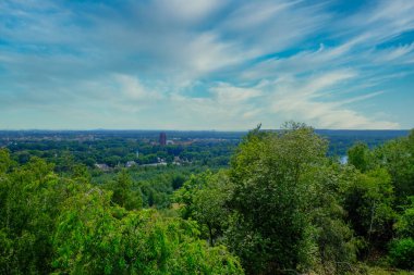 Bereketli yeşil bir ormanın yakınına.