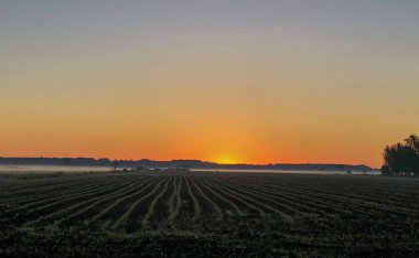 Dramatik ve renkli gün doğumu gökyüzü
