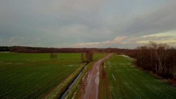 Luftaufnahme des grünen Ackerlandes — Stockvideo