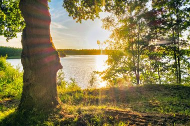 Nehrin üzerinde güneş ışınları, ağaç siluetleri ve suyun üzerindeki yansımalarla altın gün batımı