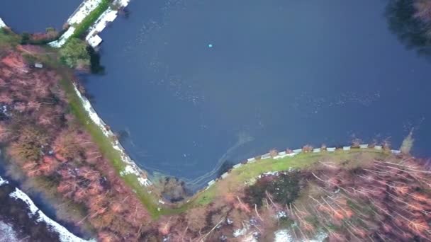 Vista aérea da costa de um grande lago florestal, mostrando a água limpa, a praia de areia e as árvores e neve no inverno, tiro drone aéreo — Vídeo de Stock
