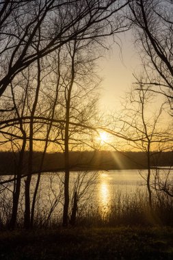 Orman gölünün üzerinde dramatik bir gün batımı