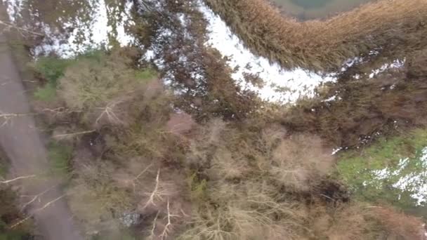 Fåglar syn drönare skott av en skog med lite snö på marken. — Stockvideo