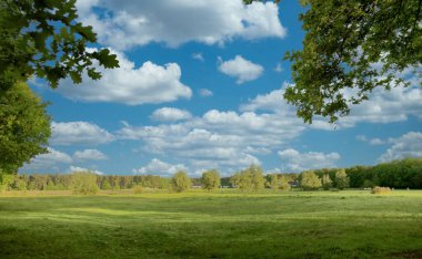 Arkasında ağaçlar olan büyük yeşil bir alan.