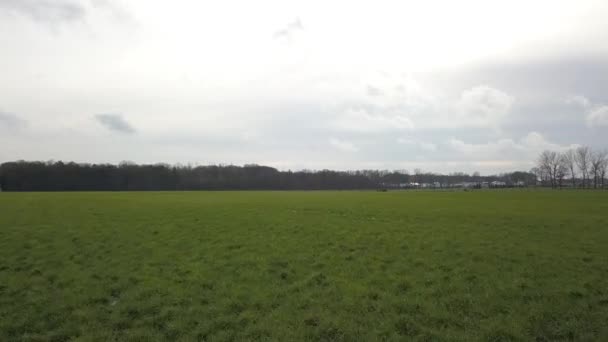 Luchtfoto filmclip, Drone vliegen over een boerderij veld bij zonsondergang — Stockvideo