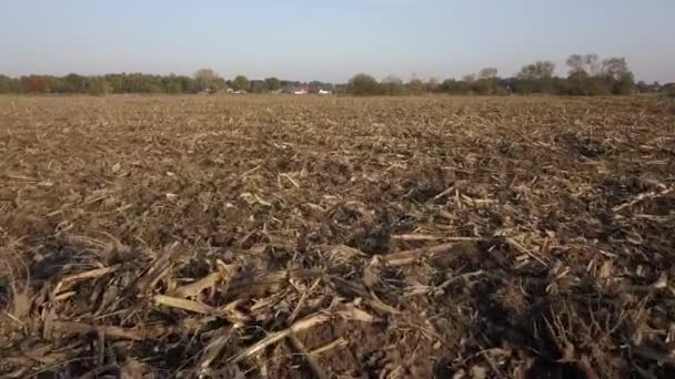 Luchtfoto filmclip, Drone vliegen over een boerderij veld bij zonsondergang — Stockvideo