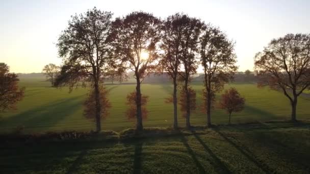 レンズフレアと空中ビュー:牧歌的な田園風景をカバーするカラフルな木々やフィールドを照らす黄金の秋の日差しの絵のショット — ストック動画