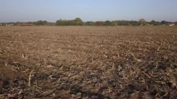 Clip cinematográfico aéreo, Drone volando sobre un campo agrícola durante la puesta del sol — Vídeos de Stock