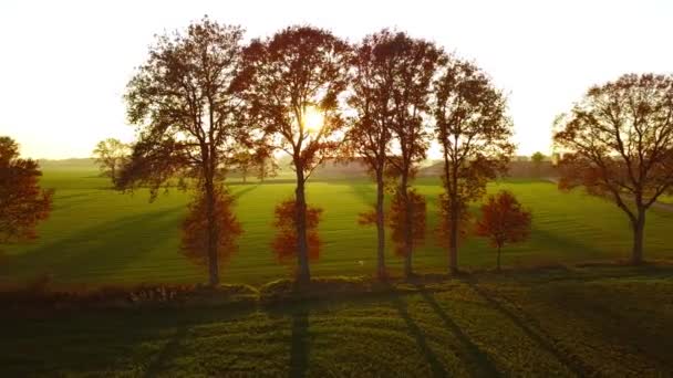 Vue AÉRIENNE avec LENS FLARE : Plan pittoresque de rayons de soleil dorés d'automne illuminant les arbres colorés et les champs couvrant le paysage champêtre idyllique — Video