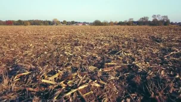 Aerial Cinematic klip, Drone repül át egy farm mező naplementekor — Stock videók