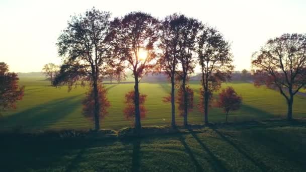 AERIAL view with LENS FLARE: Malebný záběr zlatých podzimních slunečních paprsků ozařujících pestrobarevné stromy a pole pokrývající idylickou krajinu — Stock video