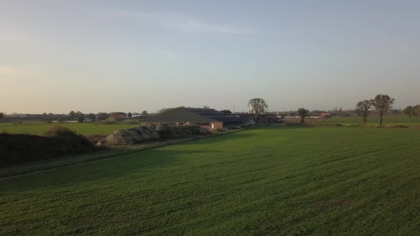 Clip aerea cinematografica, drone che sorvola un campo agricolo durante il tramonto — Video Stock