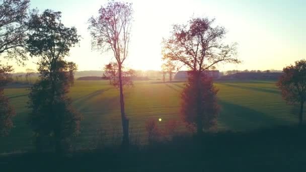 苍翠的金秋阳光映衬着五彩斑斓的树木和覆盖着田园风光的田野 — 图库视频影像
