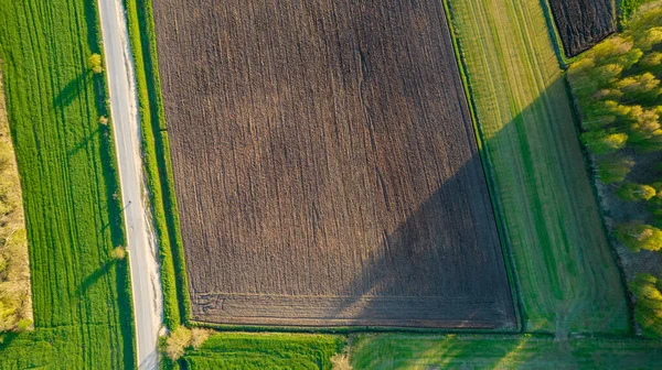 Geometrische landbouwvelden vanuit de lucht, met een groene weide en geploegde velden, gevangen met een drone — Stockfoto