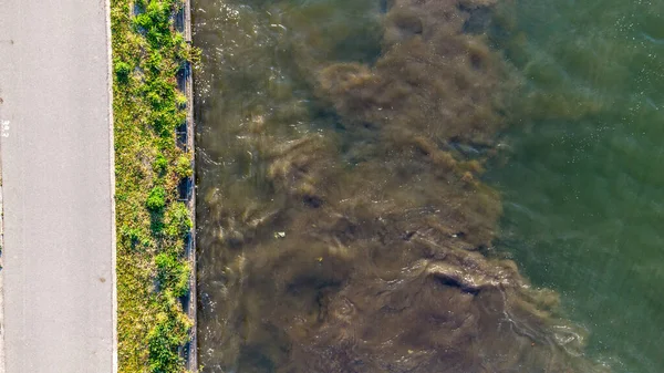 Vue aérienne du haut vers le bas de prairie riveraine sur la rive de la rivière et le mouvement de l'eau prise par un drone — Photo