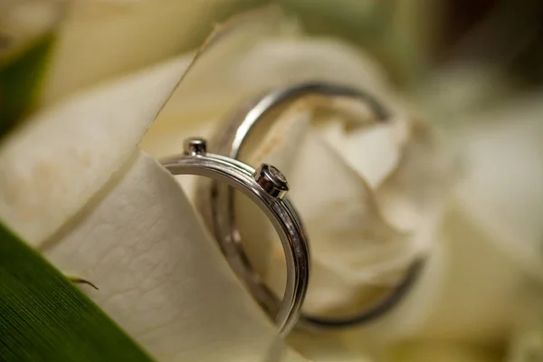 Bride and grooms wedding rings closeup on white rose DOF focus on rings — Stock Photo, Image