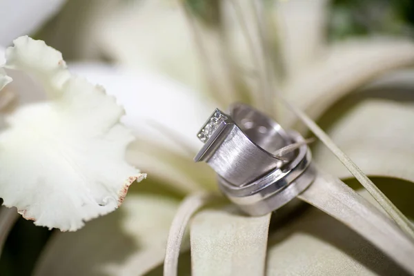 Close up view of Silver wedding rings and a beautiful bridal wedding bouquet, close-up. — Stock Photo, Image