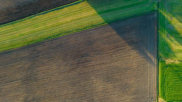 Flygfoto geometriska odlingsfält, visar en grön äng och plogade fält, fångas med en drönare — Stockfoto