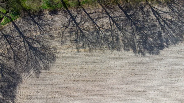 Campos agrícolas geométricos de visão aérea, mostrando um prado verde e campos arados, capturados com um drone — Fotografia de Stock