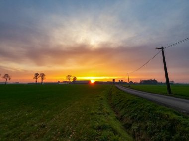İlkbaharda yeşil çimenler ve sarı çiçekli karahindibalarla kaplı bir arazide dramatik ve renkli bir gün doğumu ya da gün batımı. Güneş ışınları bulutlara doğru ilerliyor..