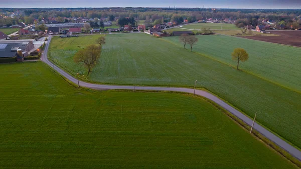 Estrada rural através do campo. Fileiras de campos agrícolas. Paisagem de Verão. Vista aérea do drone. — Fotografia de Stock