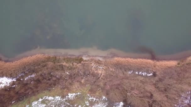 Воздух вид на берег большого лесного озера, показывающий чистую воду, песчаный пляж и деревья и снег в зимнее время, Воздушный дрон выстрел — стоковое видео