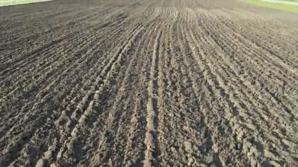 High rise Aerial view over plowed agricultural farm fields during sunny day and forest in background. High speed drone flight. — Stock Video