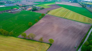 Yazın kırsal kesimde çok güzel doğal tarlalar var. Drone Hava Görüntüsü, kuş bakışı