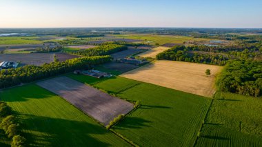 Yazın kırsal kesimde çok güzel doğal tarlalar var. Drone Hava Görüntüsü, kuş bakışı