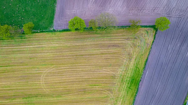 Padrões naturais bonitos de campos agrícolas no campo no verão. Vista aérea do drone, vista dos olhos dos pássaros — Fotografia de Stock