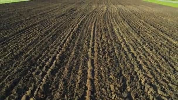 High rise Aerial view over plowed agricultural farm fields during sunny day and forest in background. High speed drone flight. — Stock Video