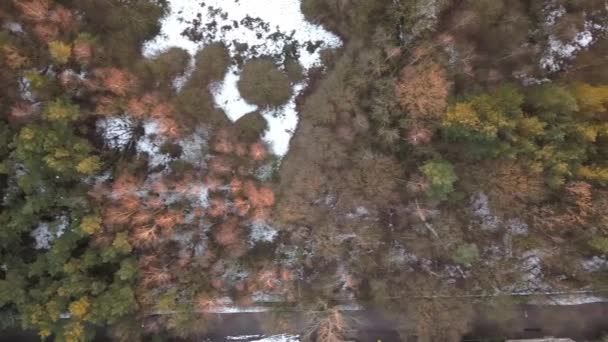 Birds eye view drone shot of a forest with some snow on the ground. — Stock video