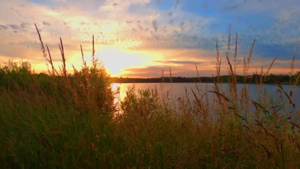 Paysage avec de longues herbes ondulant dans le vent sur un fond de beau ciel après le coucher du soleil sur le lac — Video