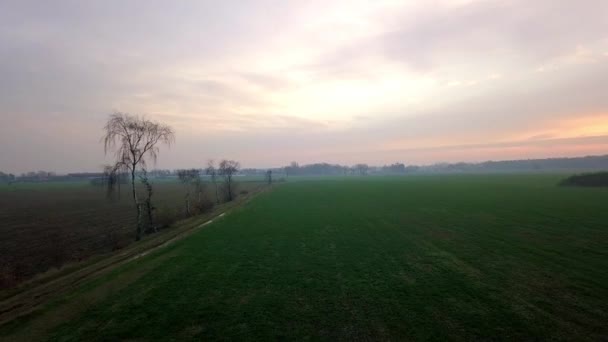 在田野上空向太阳飞去的场景.浓雾弥漫在田野上，从上方看去。多云的天气，鸟类的视角. — 图库视频影像