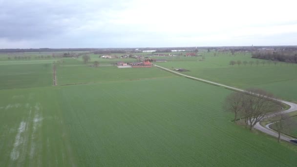 Luftaufnahme eines Feldes mit einer kurvenreichen asphaltierten Landstraße, aufgenommen mit einer Drohne. — Stockvideo