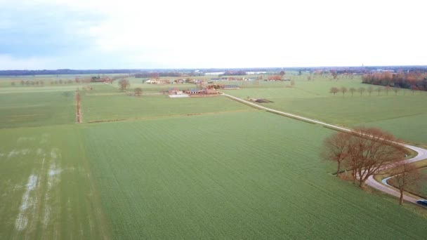 Luftaufnahme eines Feldes mit einer kurvenreichen asphaltierten Landstraße, aufgenommen mit einer Drohne. — Stockvideo