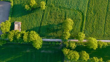 Yazın kırsal kesimde çok güzel doğal tarlalar var. Drone Hava Görüntüsü, kuş bakışı