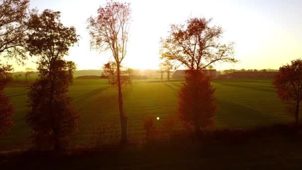 AERIAAL uitzicht met LENS FLARE: pittoreske opname van gouden herfstzonnestralen die de kleurrijke bomen en velden die het idyllische landschap bedekken verlichten — Stockvideo