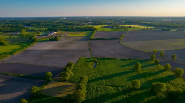 Yazın kırsal kesimde çok güzel doğal tarlalar var. Drone Hava Görüntüsü, kuş bakışı