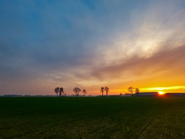 Dramatischer und farbenfroher Sonnenaufgang oder Sonnenuntergang auf einem Feld, das im Frühling mit jungem grünen Gras und gelb blühenden Löwenzahn bedeckt ist. Sonnenstrahlen bahnen sich ihren Weg durch die Wolken. — Stockfoto