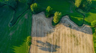 Yazın kırsal kesimde çok güzel doğal tarlalar var. Drone Hava Görüntüsü, kuş bakışı