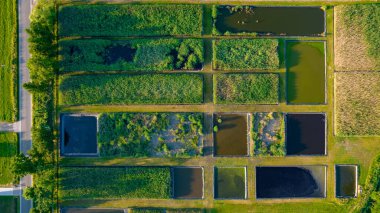 Yazın kırsal kesimde çok güzel doğal tarlalar var. Drone Hava Görüntüsü, kuş bakışı