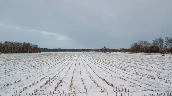 Vue aérienne avec un drone d'un paysage rural agricole ondulé de printemps avec des champs labourés et non labourés et des arbres dans le ciel bleu du soir — Photo