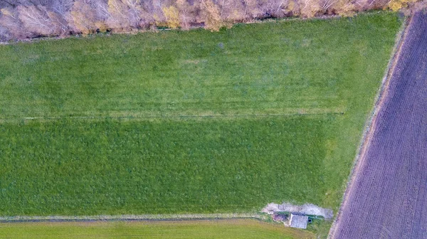 Hava manzaralı geometrik tarlalar, yeşil bir çayır ve sürülen tarlaları gösteriyor, İHA ile yakalanmış. — Stok fotoğraf